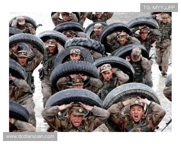 北京排球队的蜕变与成长：一段排球精神的传承与创新之旅