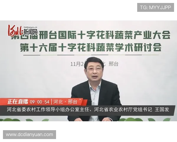 攀岩高手赵伟分享成功秘诀与训练心得的深度专访