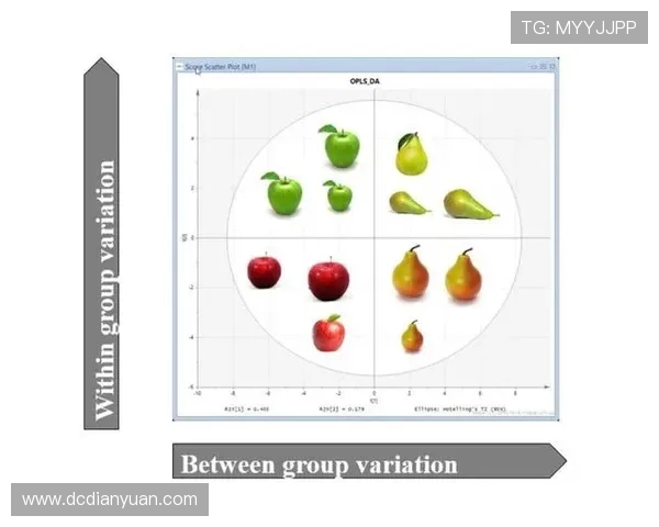 杭州滑板队速度表现数据分析揭示训练效果与比赛成绩之间的关系