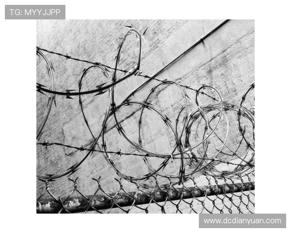 深入分析重庆排球队阵地战战术及其战术执行效果 深入分析重庆排球队阵地战战术及其战术执行效果