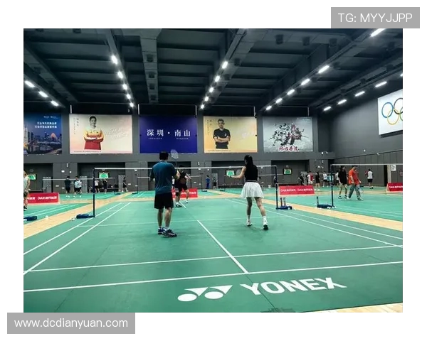深圳羽毛球队包夹战术解析及其在比赛中的应用与影响 深圳羽毛球队包夹战术解析及其在比赛中的应用与影响