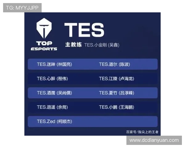 王者荣耀战术分析:深入探讨TES团队包夹策略及其战斗效果 王者荣耀战术分析:深入探讨TES团队包夹策略及其战斗效果